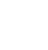 Bull